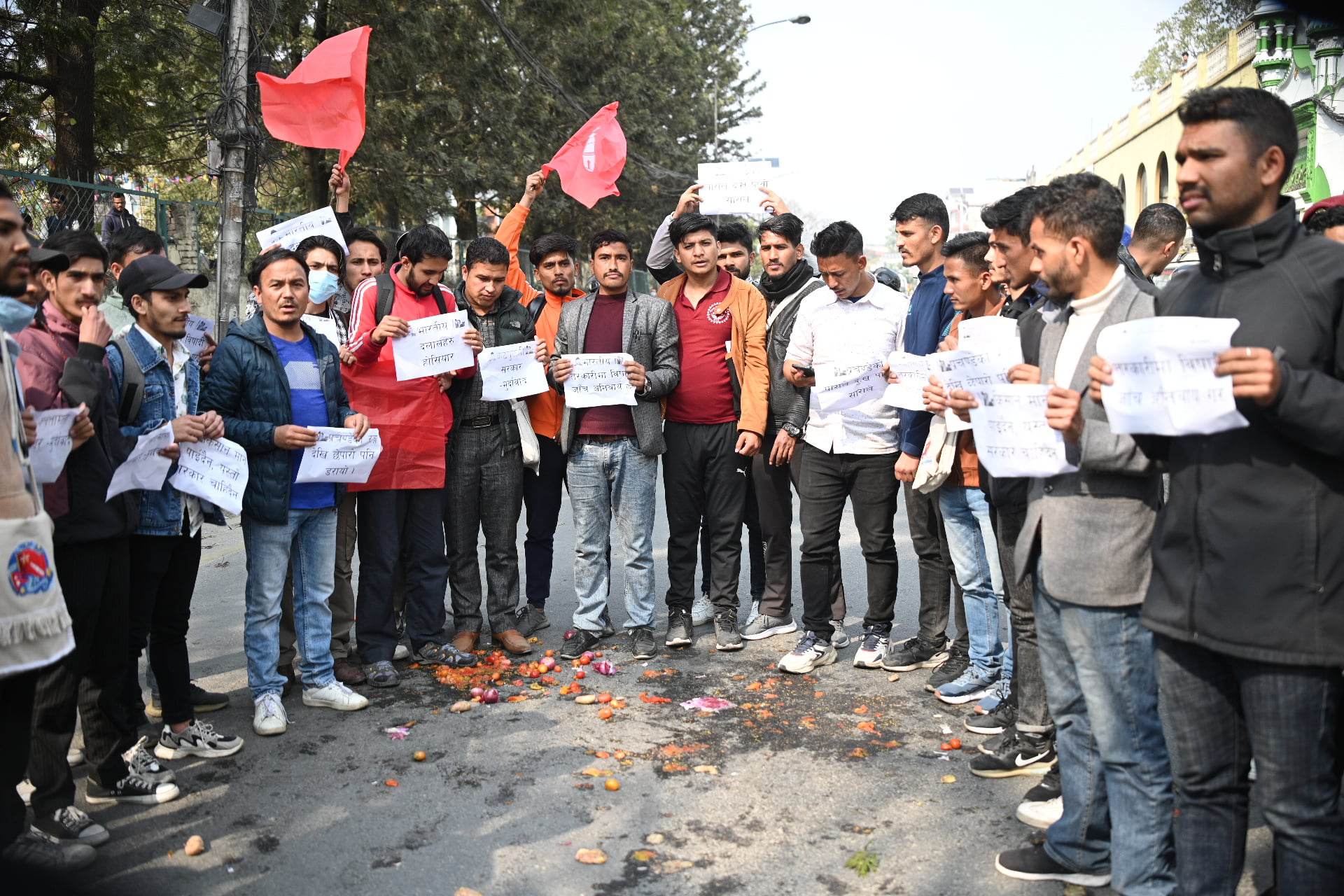 तरकारी सडकमा फालेर अनेरास्ववियुको प्रदर्शन (तस्वीरहरू)